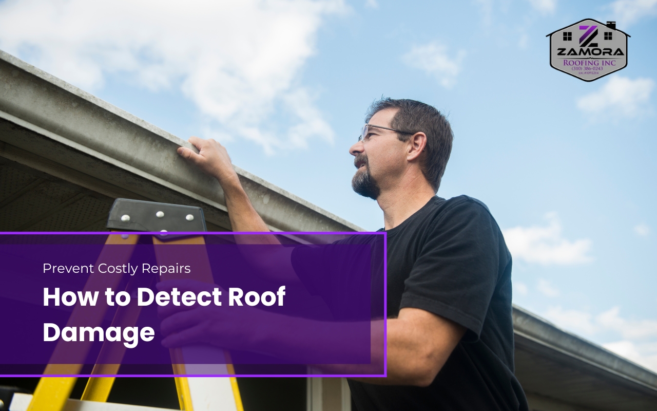 Homeowner learning how to detect roof damage signs.