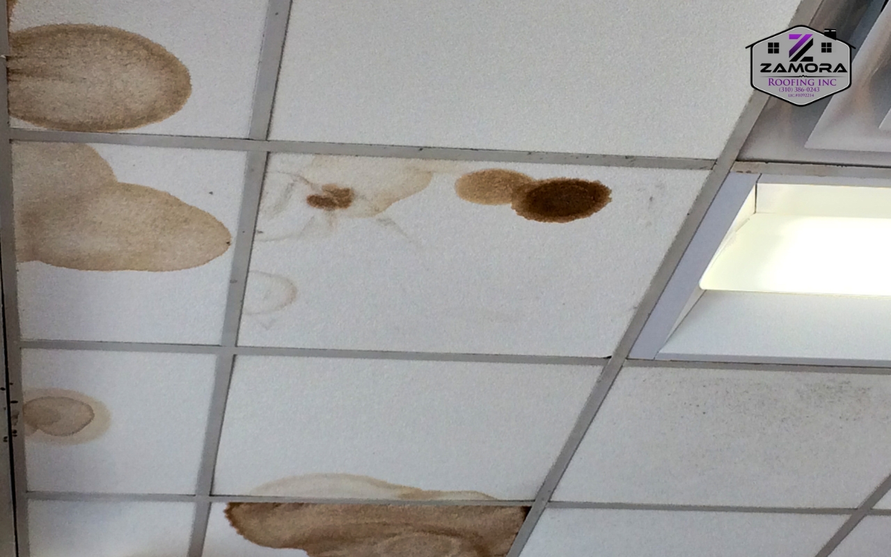 Water stains on a ceiling indicating a roof leak